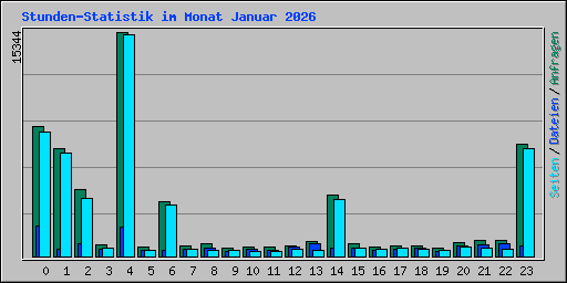Stunden-Statistik im Monat Januar 2026
