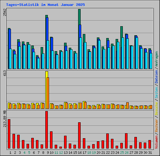 Tages-Statistik im Monat Januar 2025