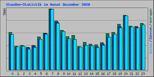 Stunden-Statistik im Monat Dezember 2020